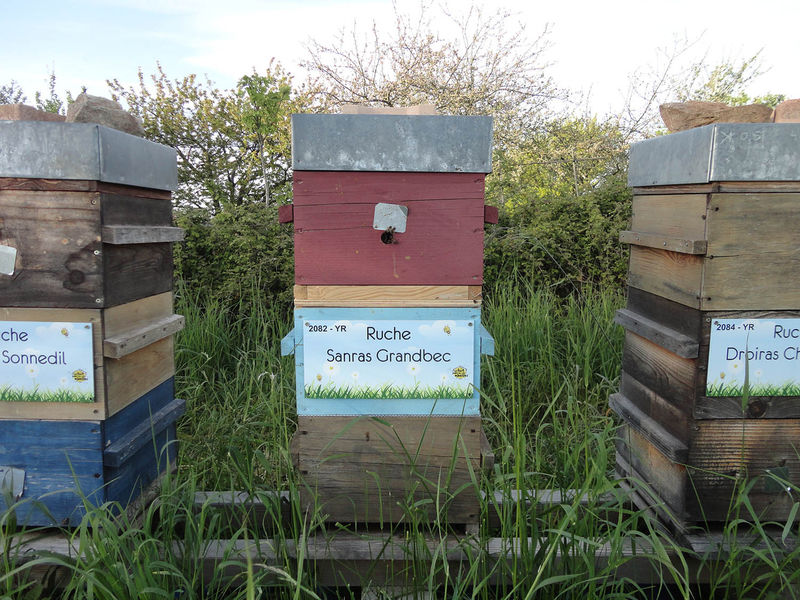 La ruche Sanras Grandbec